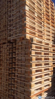 Superkame euro, vienkartinius, nestandartinius padėklus, šar