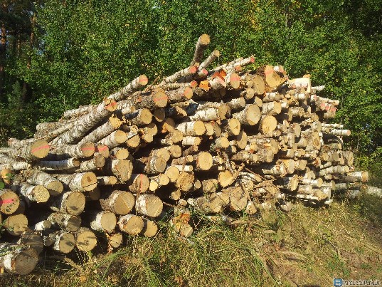 Sutaupykite 300-700eur perkant didesnį kiekį malkų