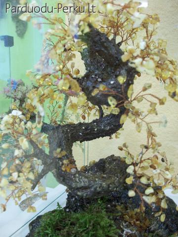 suvenyrai bonsai medeliai is karoliuku
