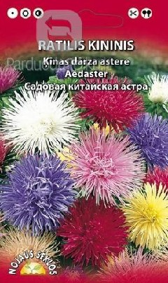 Svogūninės gėlės, jurginai