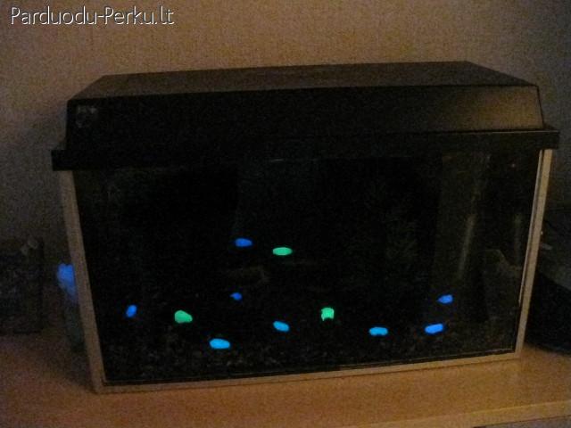 tamsoje svieciantys akmenukai