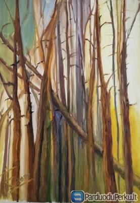 Tapybos paveikslas “Saulėtas miškas”