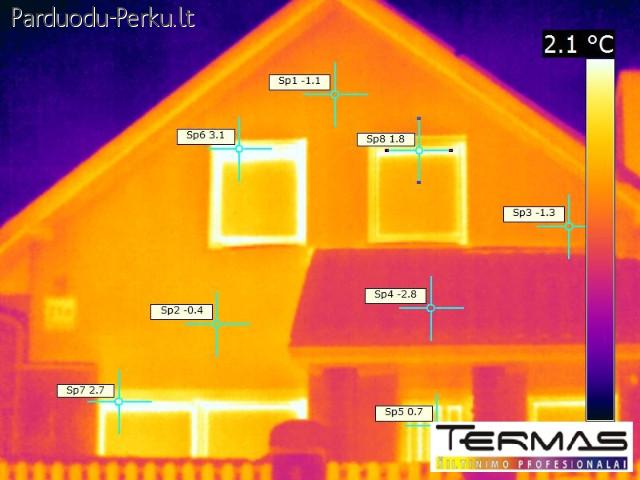 Termovizinis tyrimas