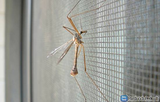 Tinkleliai nuo uodų gera kaina