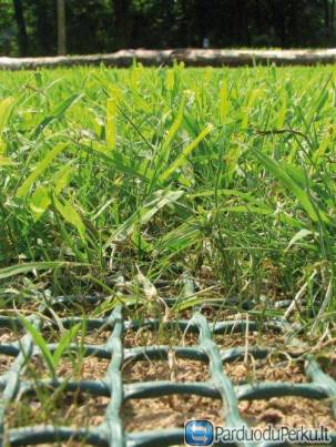 Tr Flex žemės sustiprinimo tinklas