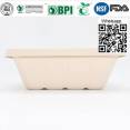 Tray disposable tray bagasse tray serving tray