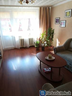 PIGI TRUMPALAIKE BUTO NUOMA DRUSKININKUOSE