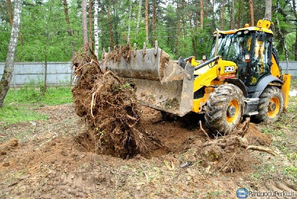Tvarkome apleistus sklypus, Parkų formavimo darbai