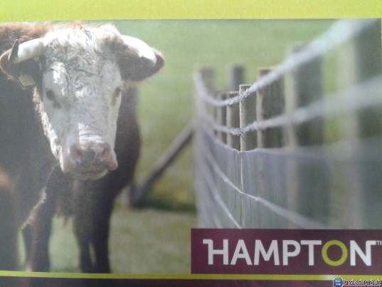 Tvoros gyvunams ,irengimas konsultacijos