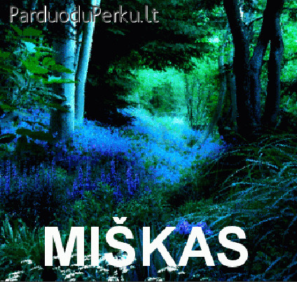 UAB,,PASLAUGŲ GARANTAS" perka brandų mišką