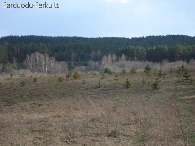 Ukmergės r. 7,14ha sklypas ant Siesarties upes