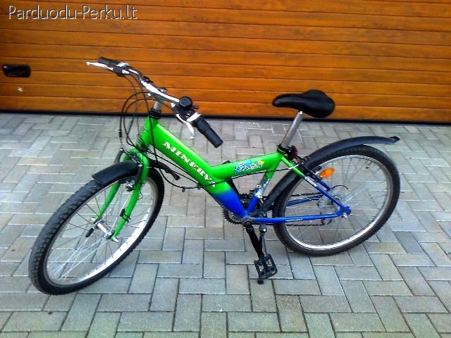 Vaikiškas dviratis MINERVA