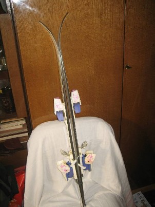 Vaikiškos kalnų slidės