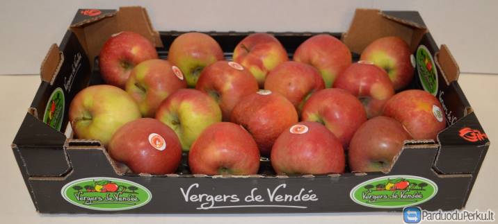 Vaisiu ir darzoviu pakavimo fabrikas Hamburge