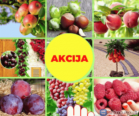 Vaismedžių sodinukai