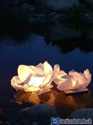 Vandens žibintai Klaipėdoje tik 2,00€