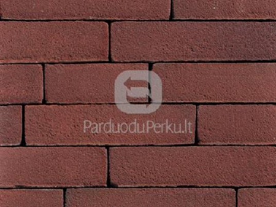 Vane Moortel belgiškos klinkerio plytos.Akcija