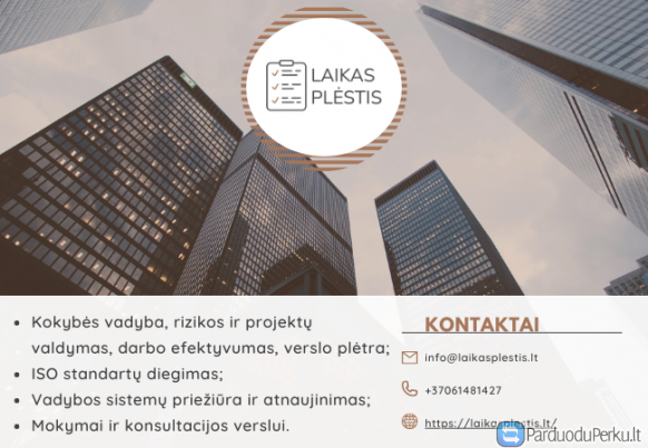 Verslo valdymo ir procesų pagerinimo konsultacijos/paslaugos