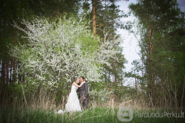 Vestuvių fotografė