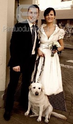 Vestuvinė suknelė. Dizaineris-Egidijus Sidaras