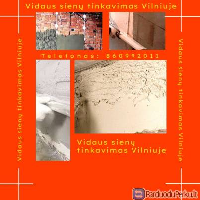 Vidaus sienu tinkavimas Vilniuje