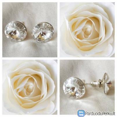 Vienetiniai Auskarai