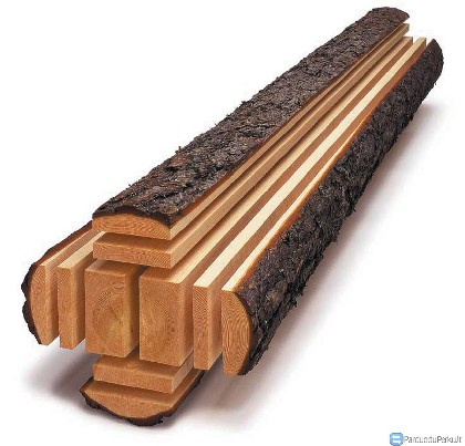 Viengubo, dvigubo pjovimo pušis, eglė