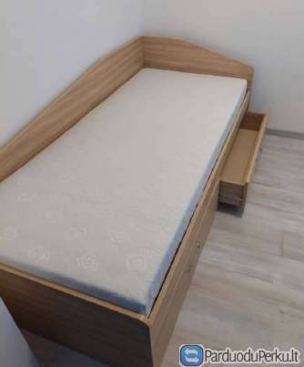 viengulė lova