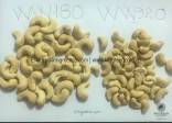 Vietnamese Cashew Nut Kernels WW180, WW210