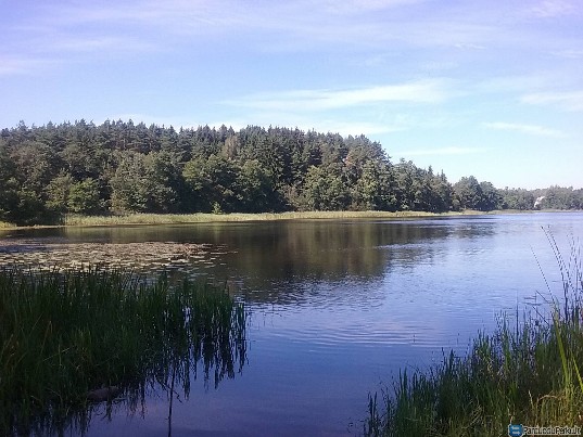 Žemės sklypas šalia Vilniaus,  prie ežero