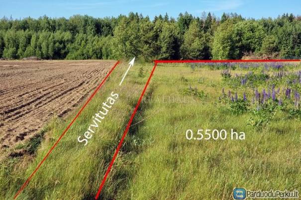 55 a Parudaminio k, žemės ūkio paskirties sklypas