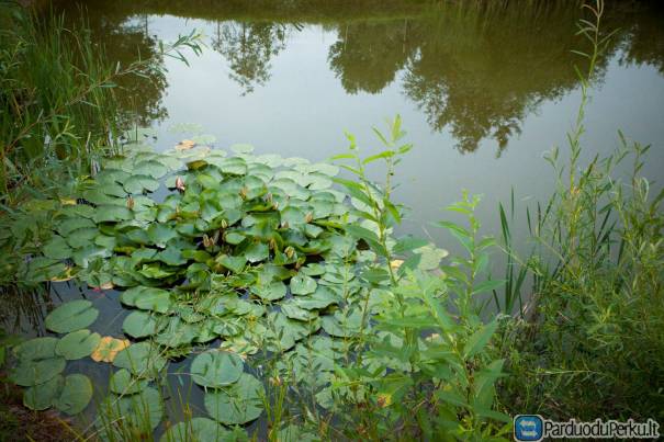 Vilnius, Pagiriai, namų valdos paskirties sklypas