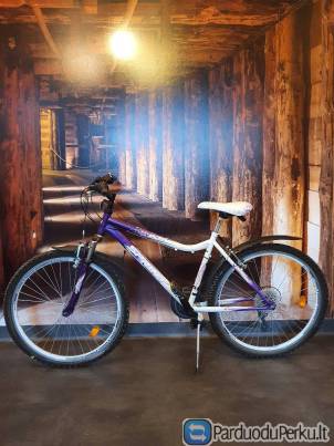 Violetinis dviratis 10-16 metų paaugliams