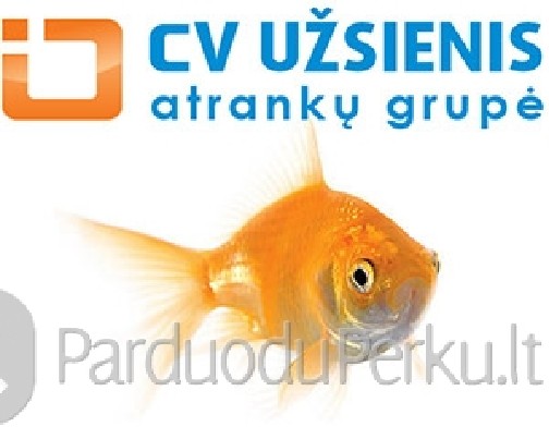 Virėja (-as) - senelių globos namuose Anglijoje