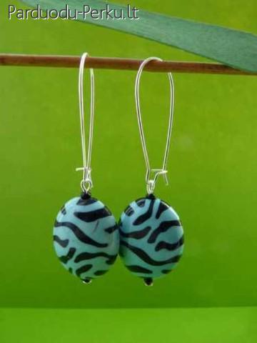 Žydri zebro auskarai