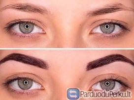 Beauty 4 Eyes antakių architektūra, dizainas ir Brows/Henna dažymo mokymai