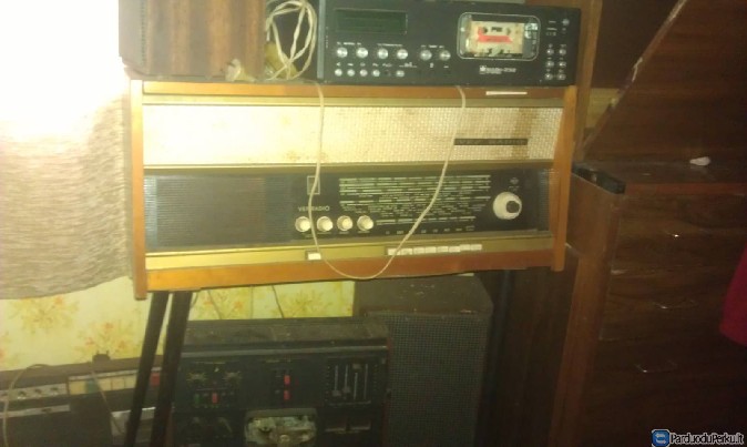 yvairus seni daigtai