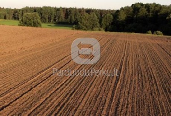 Zemes Nuoma/Pirkimas