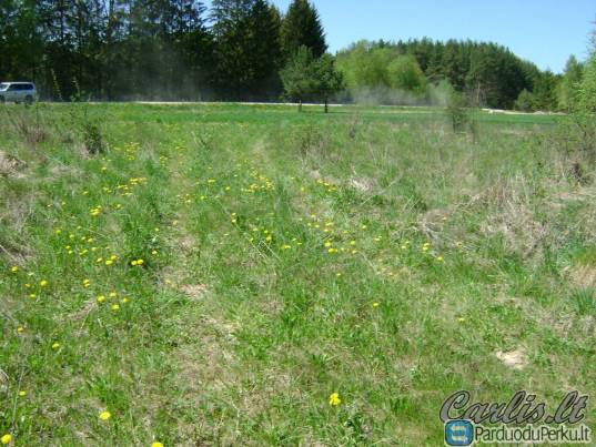 Žemės sklypas Girininkų g., Šalčininkuose, Šalčininkų raj.