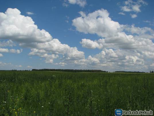 ŽEMĖS ŪKIO DARBAI VOKIETIJOJE ARBA DANIJOJE