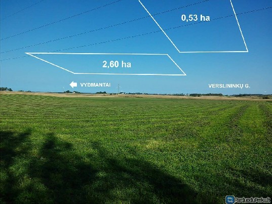 Žemės ūkio paskirties sklypas netoli Palangos Vydmantų k.