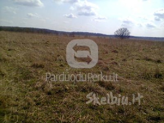 Žemės ūkio paskirties sklypas