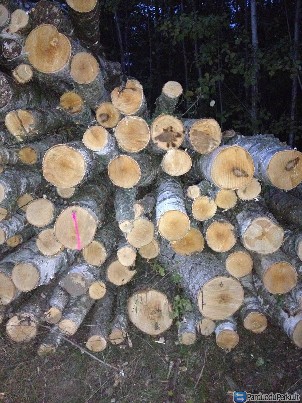 Žiema - geriausias metas pirkti malkas rąsteliais!