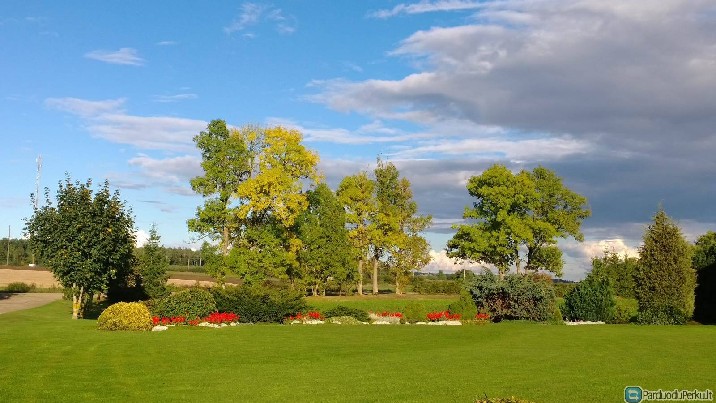 Daugiamečių gėlių pardavimas