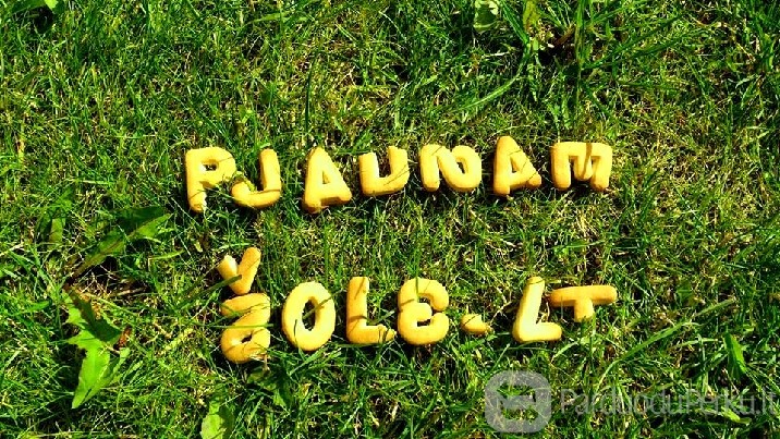 Žolės pjovimas trimeriu vilniuje