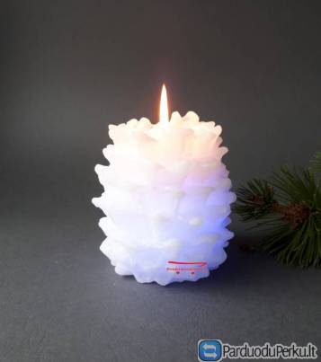 Žvakė kankorėžis keičiantis spalvas