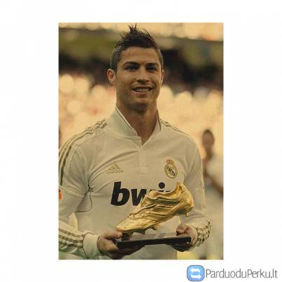 Žymių žmonių laminuoti plakatai